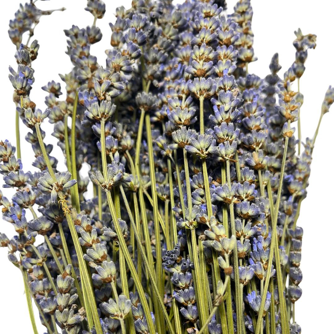 Saunová metlička – Levandule